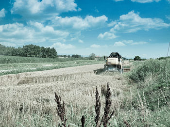 Scenic view of agricultural field against sky