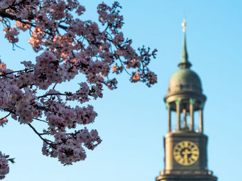 Low angle view of cherry blossoms against sky