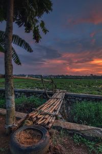 Scenic view of field against sky during sunset