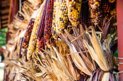 Close-up of corns for sale in market