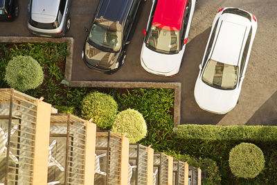 High angle view of potted plants in yard