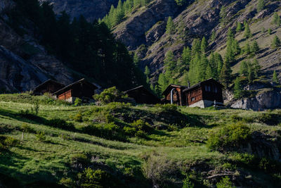 Scenic view of green landscape and houses against mountain