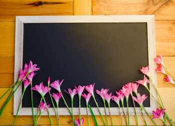 Close-up of pink flowers on wooden table