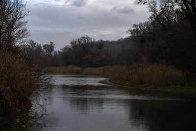 Scenic view of lake in forest against sky