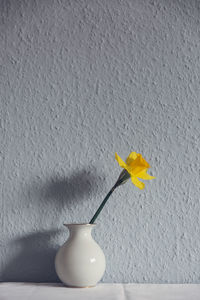Close up of yellow flower in vase on table against wall