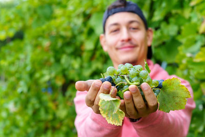 Close-up of hand holding plant