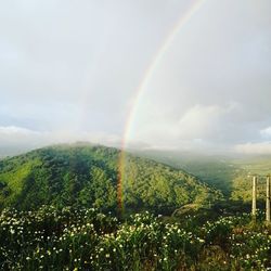 Scenic view of rainbow over landscape against sky