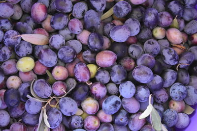 Full frame shot of blueberries