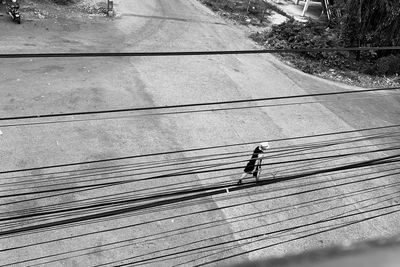 High angle view of man walking on footpath