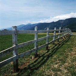 Scenic view of grassy field against sky