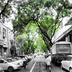 Cars parked on road