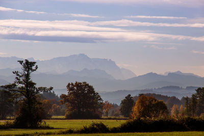 Trees on field against mountains