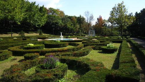 View of garden in park