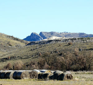 Scenic view of landscape against clear sky