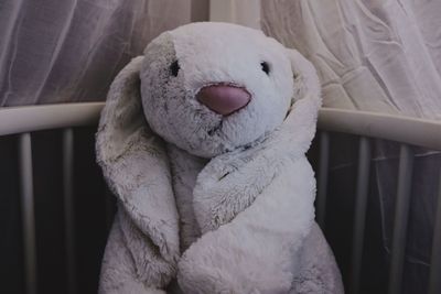 Close-up of teddy bear