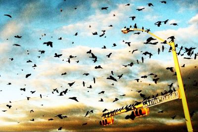 Flock of birds flying over cloudy sky