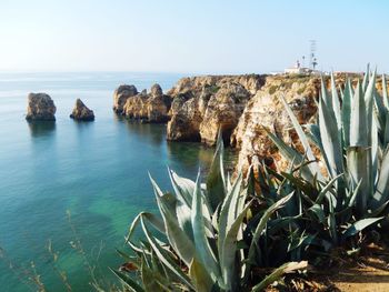 Scenic view of rocks in sea against clear sky