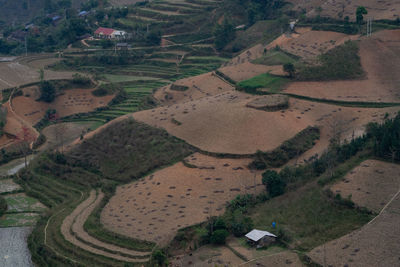 High angle view of agricultural field