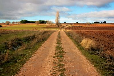Dirt road amidst field against sky