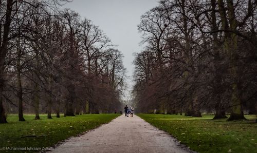 People riding bicycle on footpath amidst trees in park