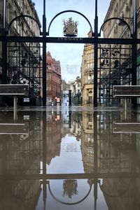 reflection