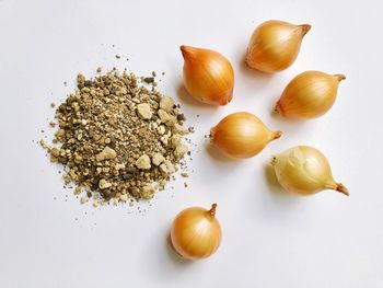 High angle view of eggs on table