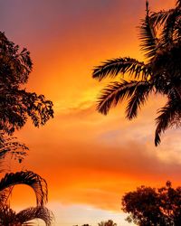 Low angle view of silhouette palm trees against romantic sky