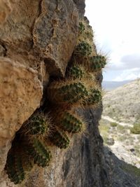 Rocks on rock formation