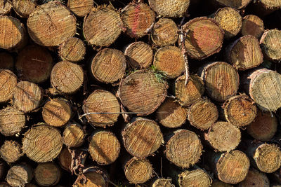 Full frame shot of logs