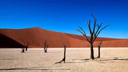 Scenic view of desert against clear blue sky