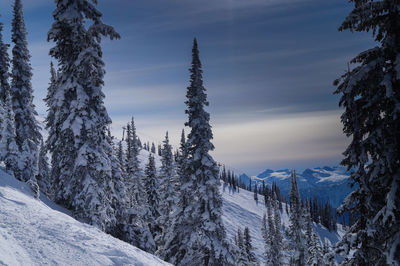 Scenic view of snow covered mountains