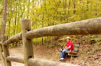 Man sitting on bench in forest