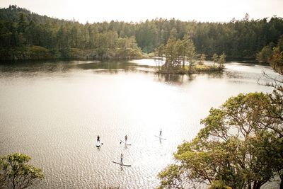 High angle view of birds in lake