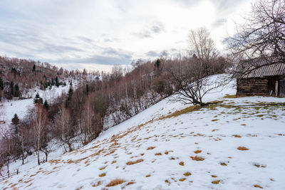 Snow covered land and trees against sky