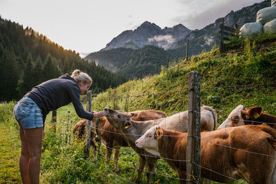 Young woman stroking cattle on field