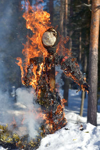 Close-up of fire on snow covered land