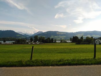 Scenic view of field against sky