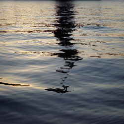 Reflection of water in lake