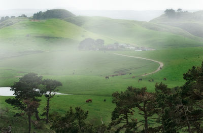 Scenic view of landscape against sky