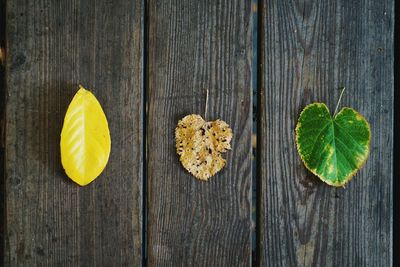 High angle view of fruits on wood