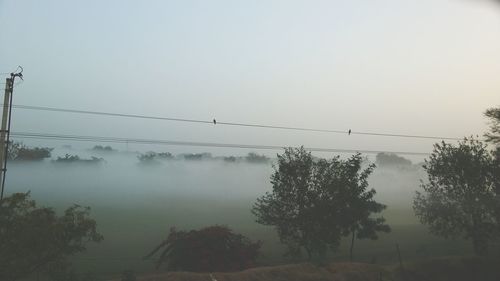 Silhouette trees against sky during foggy weather