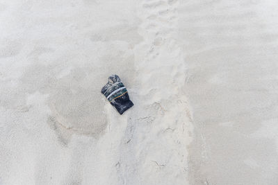 Find a lost sock at the beach.