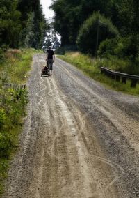 Rear view of people walking on dirt road