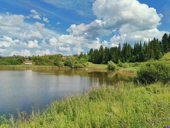 Green shore of the lake on a sunny day against the background of blue sky with clouds