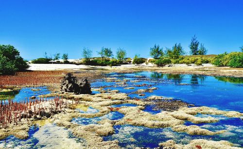 Scenic view of lake against clear blue sky