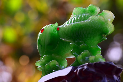 Close-up of green leaf on plant