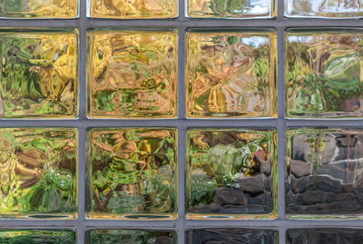 Full frame shot of plants in greenhouse