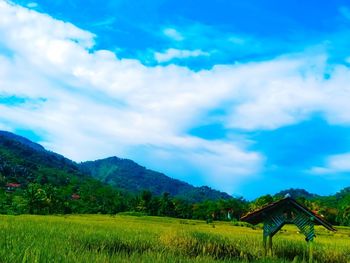 Scenic view of field against sky