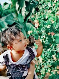 Portrait of cute boy  blowing flowers