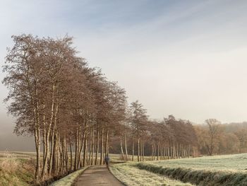 Road amidst trees on field against sky
